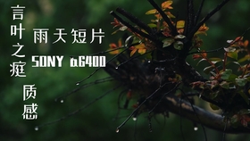 我的世界 粘液科技教程 自动附魔机 附魔分离机 哔哩哔哩 つロ干杯 Bilibili