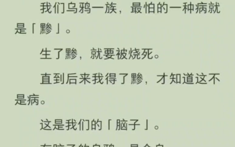 乌鸦一族,最怕的就是黪,得了之后才发现这是脑子,有了脑子的乌鸦就是金乌哔哩哔哩bilibili