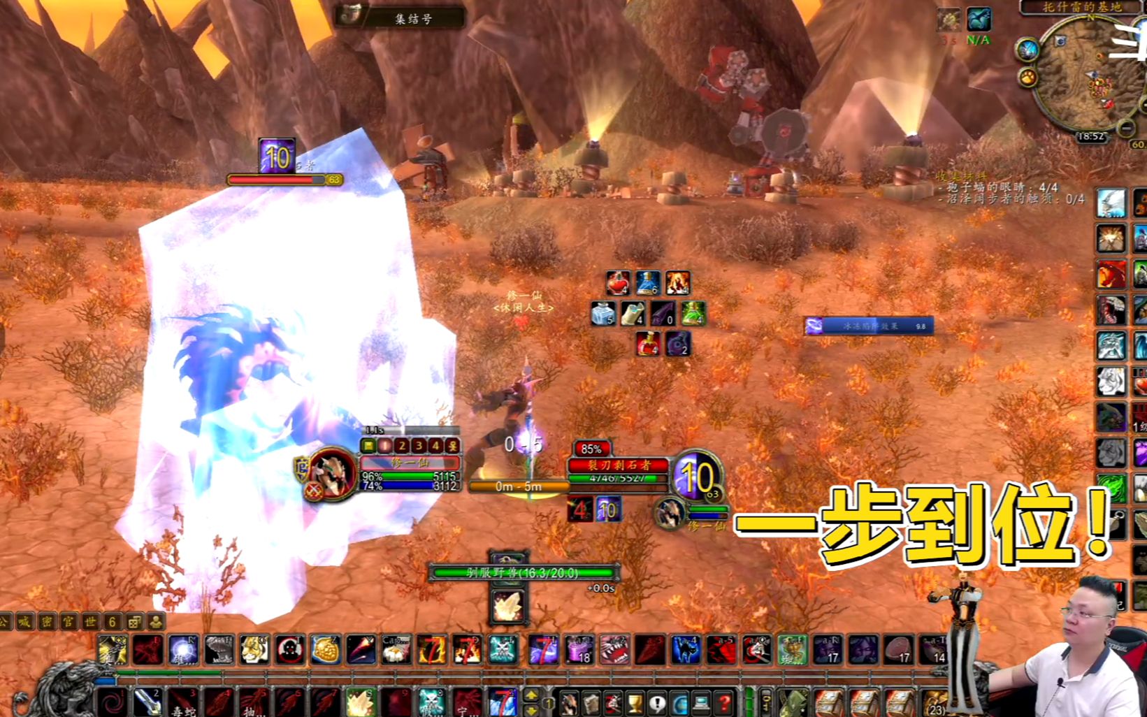 魔兽btc怀旧服一只就可用终身自带9级角刺和3级突进的掠食者