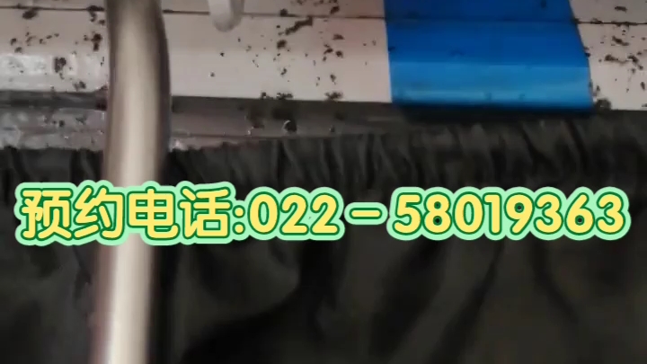 格力空调清洗—专业格力空调清洗 原来不只是清洗过滤网哔哩哔哩bilibili