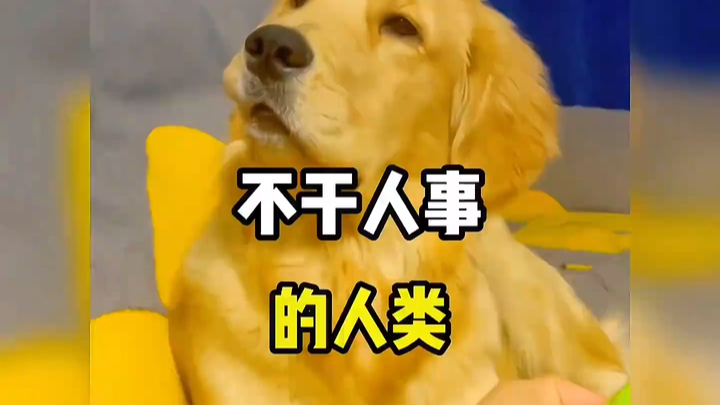 盘点那些不干人事的人类