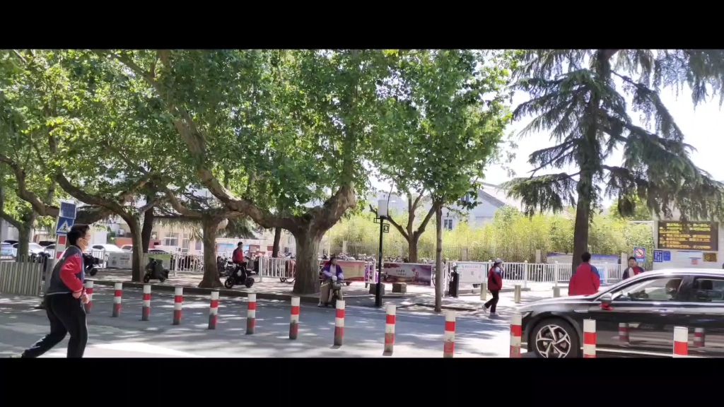 泰安青年路,最青春浪漫的一条路