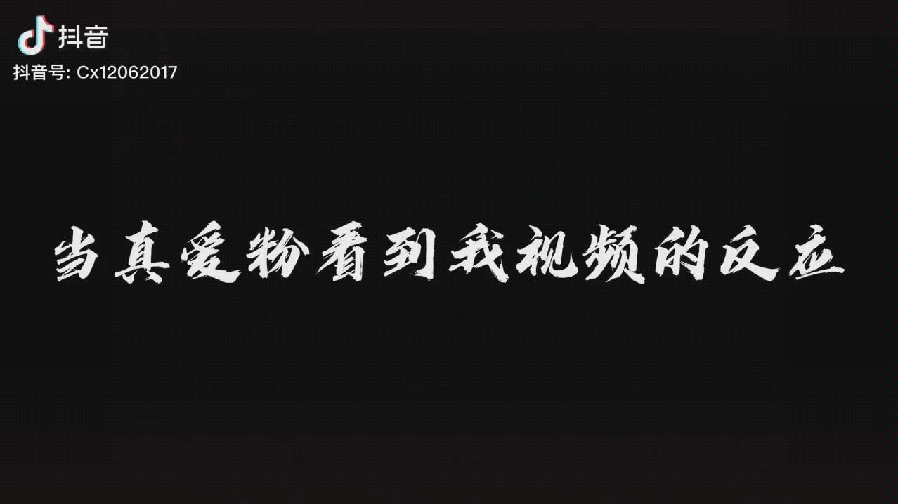 陈甲乙略略略
