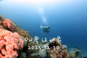 2025.12.30OW考证记录学生：Braue教练：火山By 初潜潜水
