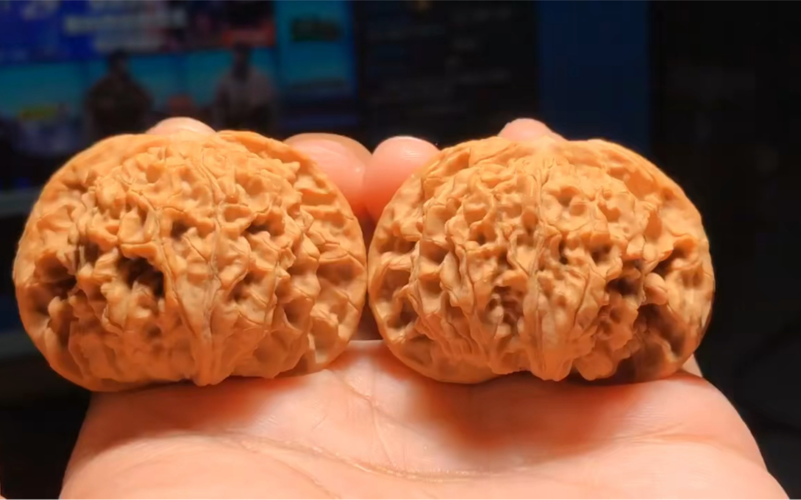 超矮老款闷尖狮子头,尺寸46×40高度34,磨盘桩型大耳朵,工作号kan