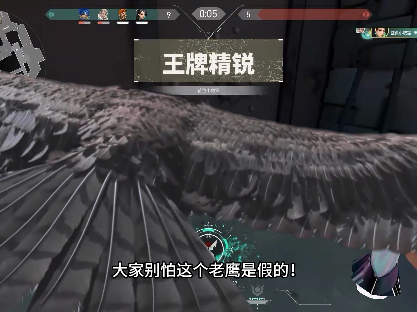 奶妈在微风岛屿的阴间冰墙
