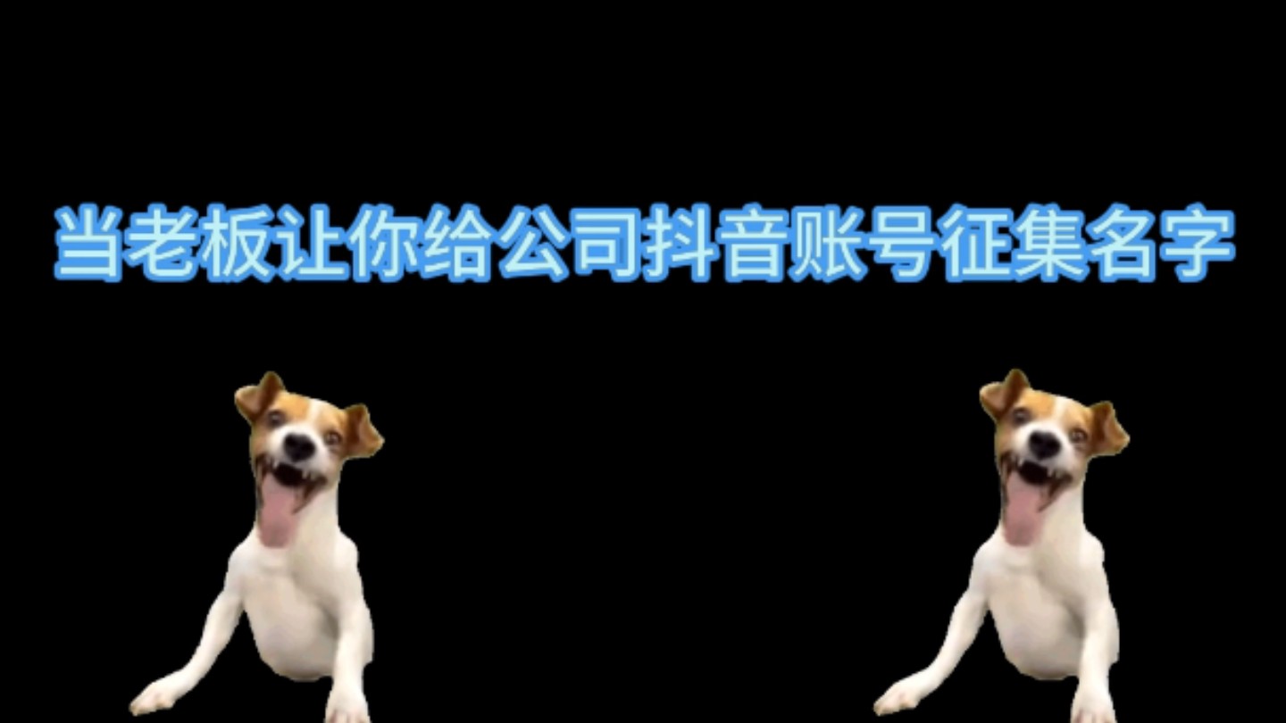 【猫meme】关于老板让我给公司账号征集个带二次元属性的名字哔哩哔哩bilibili