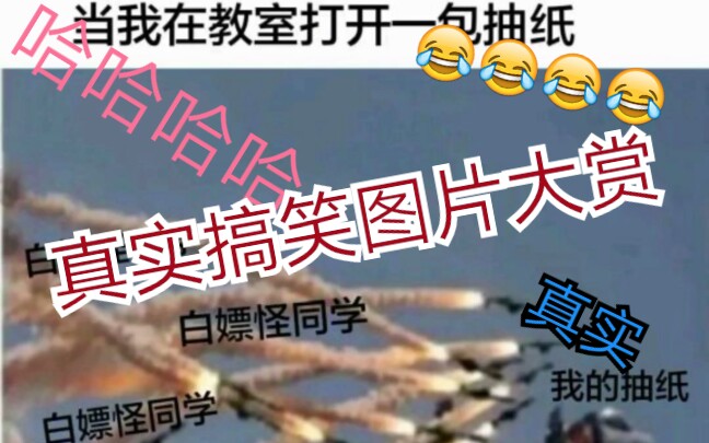 #《真实搞笑图片大赏》哈哈哈哈哈哈哈哈哈哈哈哈哈哔哩哔哩bilibili