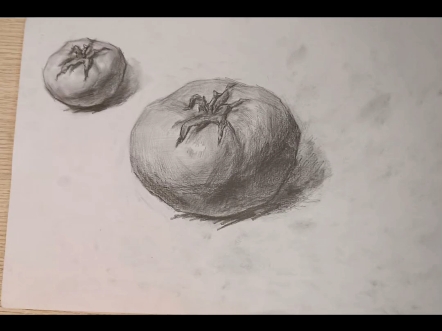 素描 西红柿