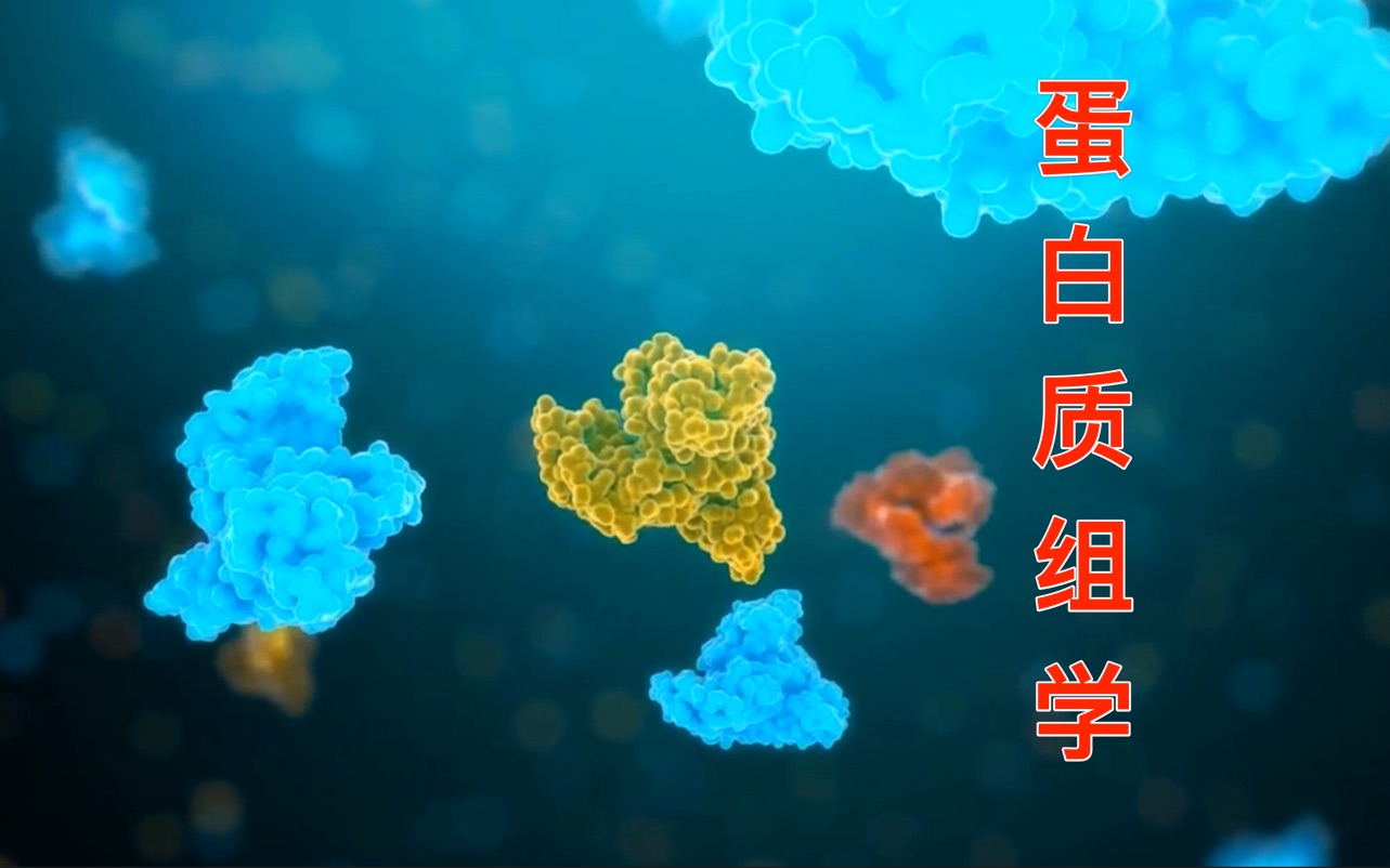 proteomics 蛋白质组学 简单介绍哔哩哔哩bilibili