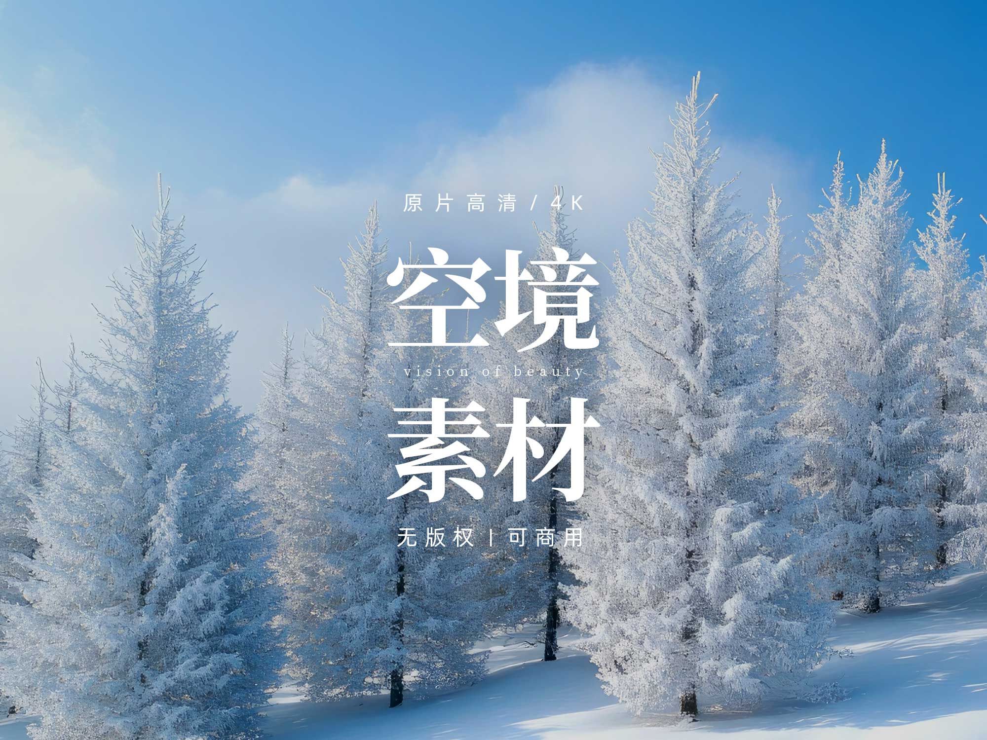 【免版权空镜】松柏植物大雪雪山视频素材哔哩哔哩bilibili