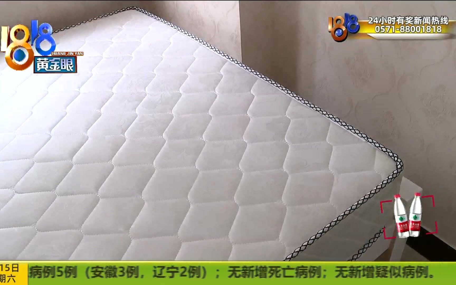 虫子爬到手机上 才发现床板密密麻麻都是虫