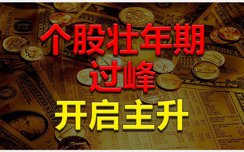 牛股壮年期,过峰开启主升浪,把握临界点骑龙!哔哩哔哩bilibili