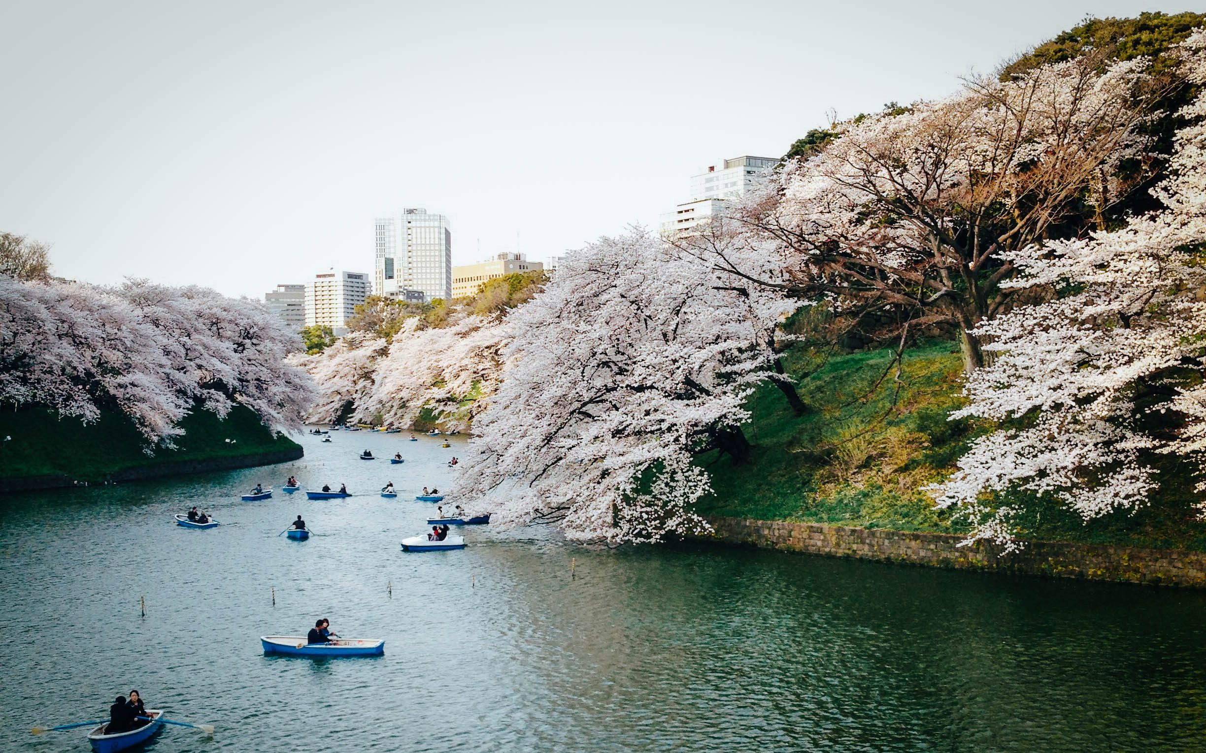 tokyo & 千鸟之渊