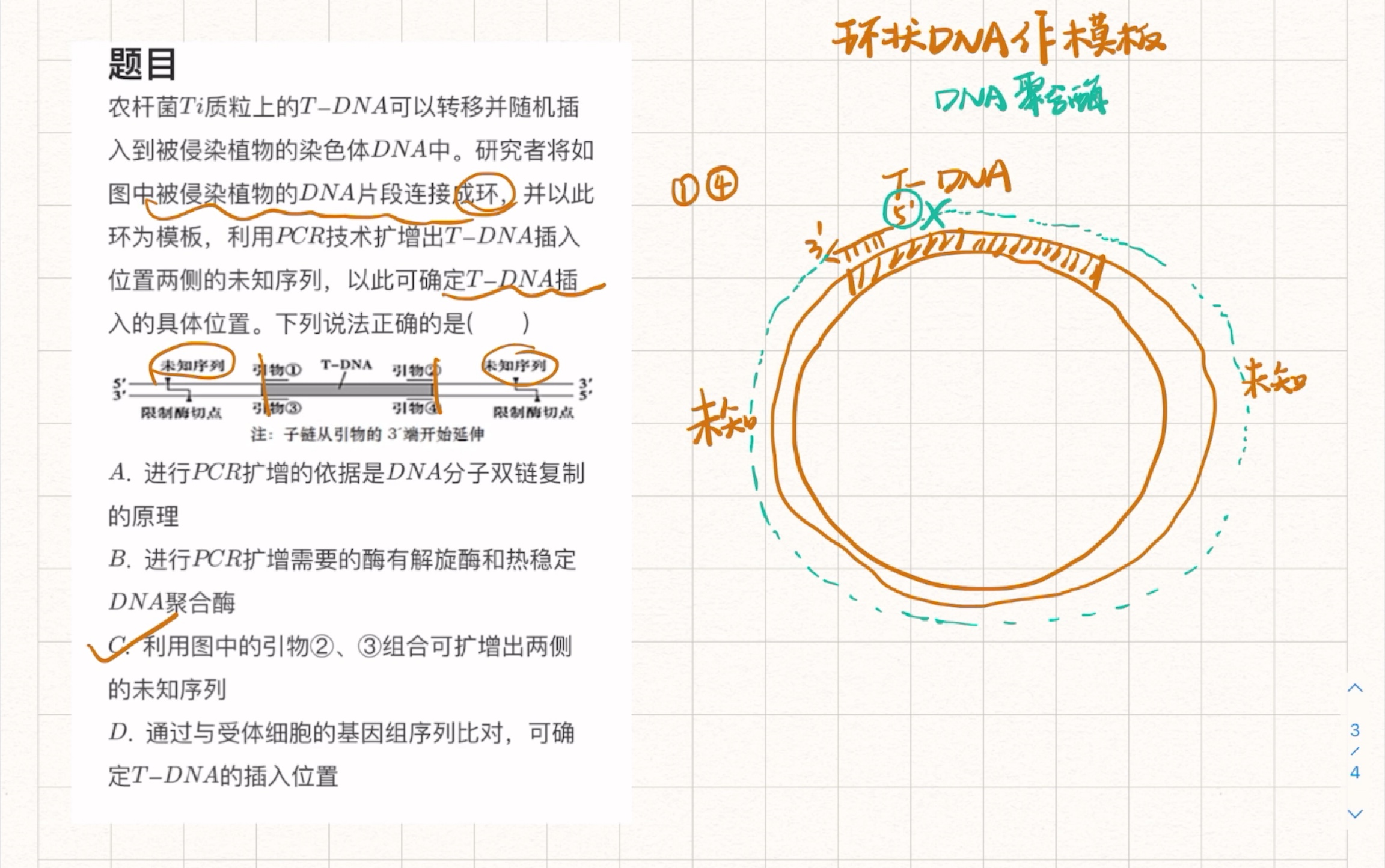 环状DNA做模板,扩增未知序列哔哩哔哩bilibili