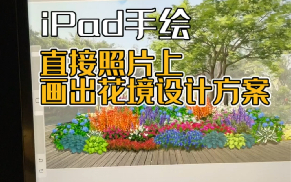 花境植物造景搭配iPad手绘画法,笔刷结合素材快速表现#景观手绘#庭院花园#植物搭配#花境哔哩哔哩bilibili