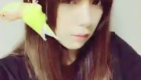 池田依来沙 老婆好漂亮 哔哩哔哩 つロ干杯 Bilibili