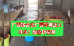 Tải video: 广西宿舍被骂上热搜！咋办？