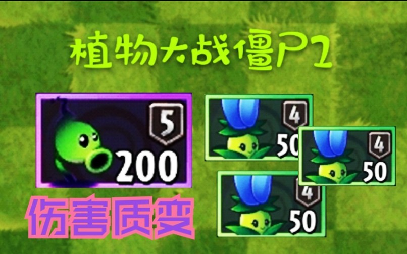 pvz几朵月光花可以把暗影豌豆的伤害提升到最大化