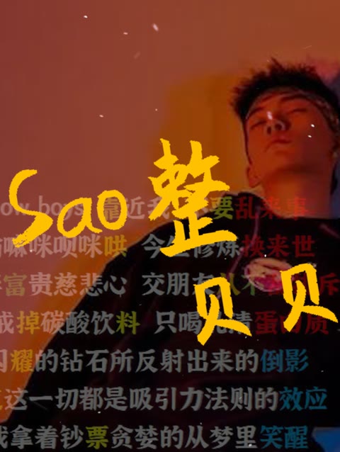 【韵脚检查】《sao整》—贝贝part"同行说我帅的就像是上海滩的丁力"
