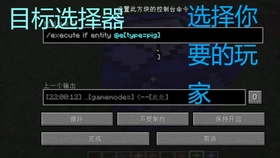 从0开始学指令 Minecraft 2 目标选择器 哔哩哔哩 つロ干杯 Bilibili