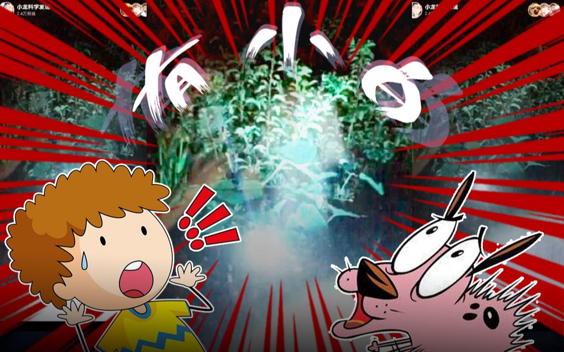 小龙科学发现2018-08-31-平静老宅有小白