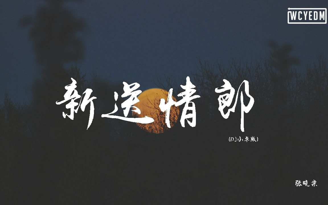 [图]張曉棠 - 新送情郎 (DJ小卓版)【動態歌詞/pīn yīn gē cí】