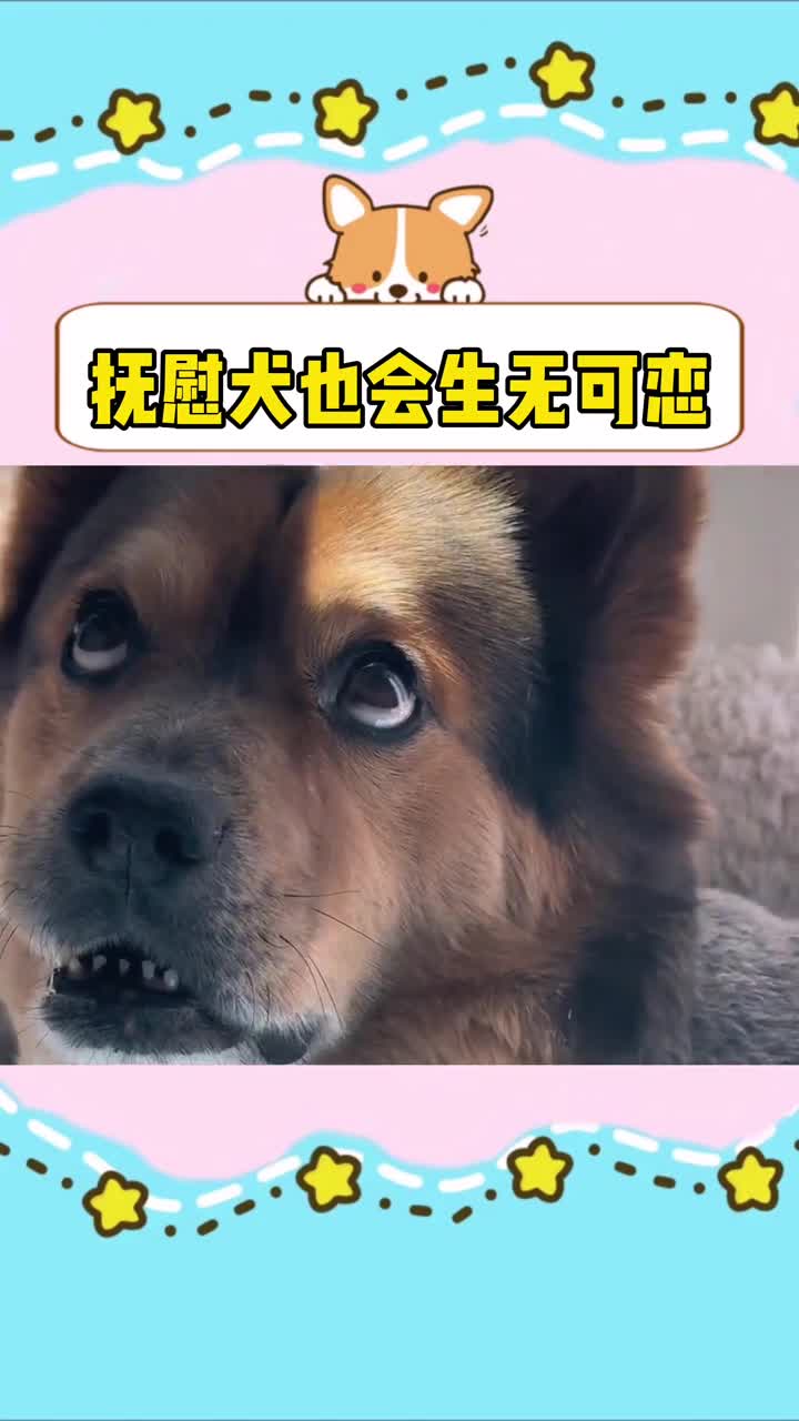 怀疑狗生图片