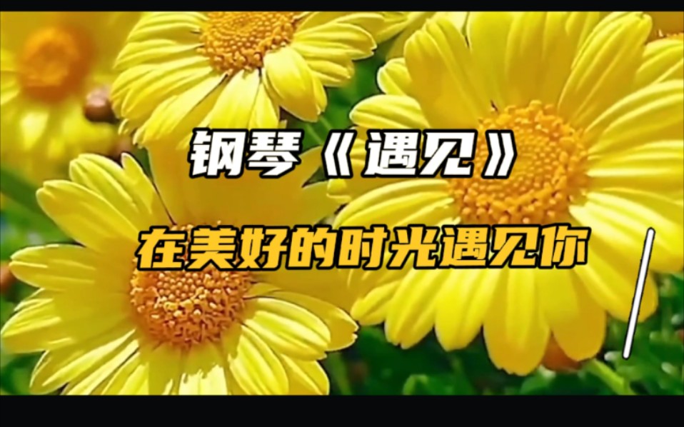 钢琴《遇见》在美好的时光遇见,最美的你!