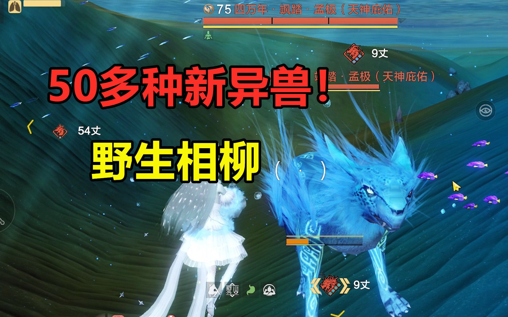 妄想山海:50多种新的异兽!五万年鸡哥,还有野生相柳