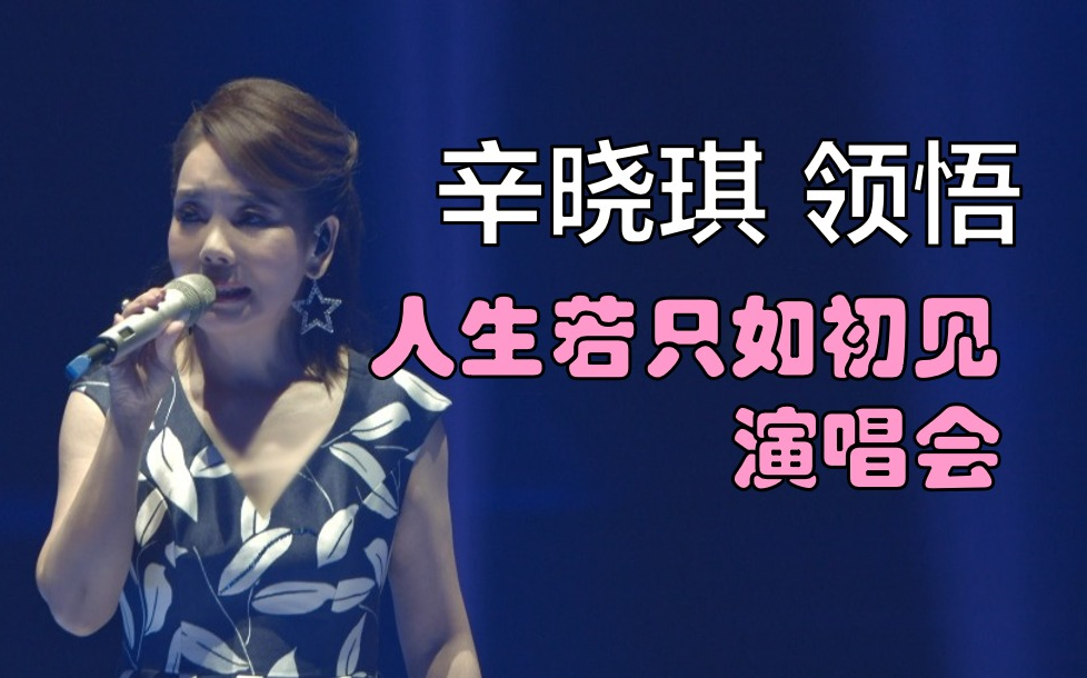 辛晓琪 领悟 (人生若只如初见 演唱会) [蓝光剪辑]
