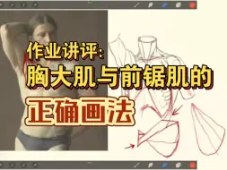 Tải video: 如何精准绘制胸腔：胸大肌与前锯肌的正确画法！