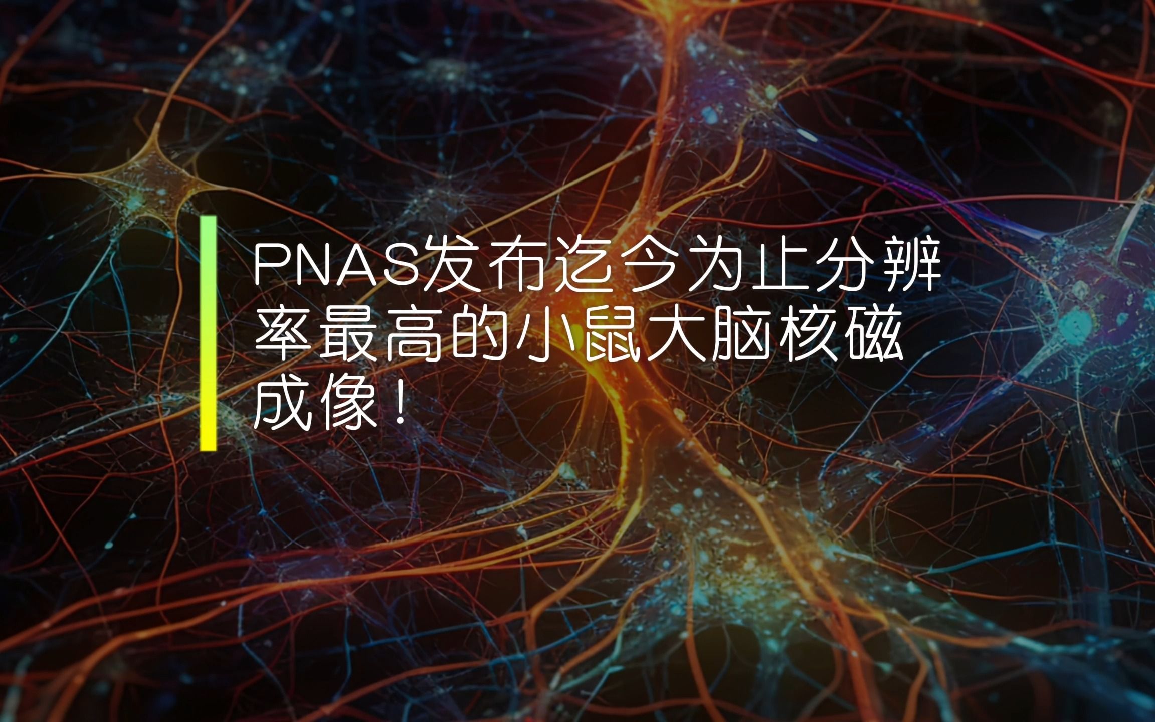 #Brainnews 【前沿快讯】PNAS发布迄今为止分辨率最高的小鼠大脑核磁成像!哔哩哔哩bilibili