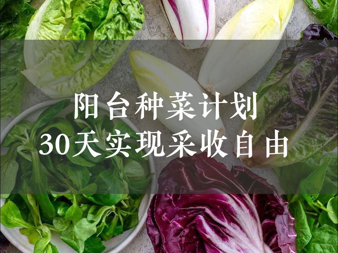 [图]阳台种菜🥬30天实现蔬菜自由🥕