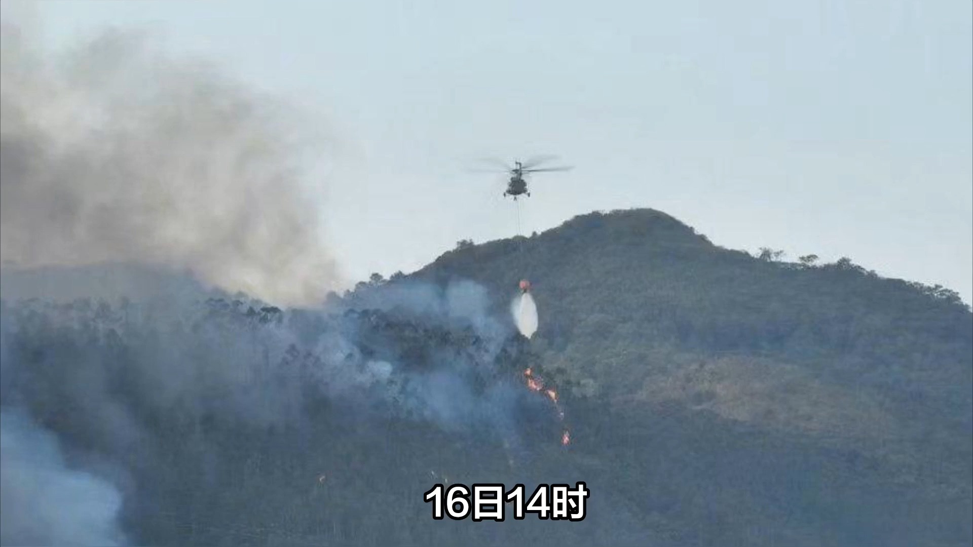 肇庆高要区突发山火,各方力量迅速救援,暂无伤亡哔哩哔哩bilibili