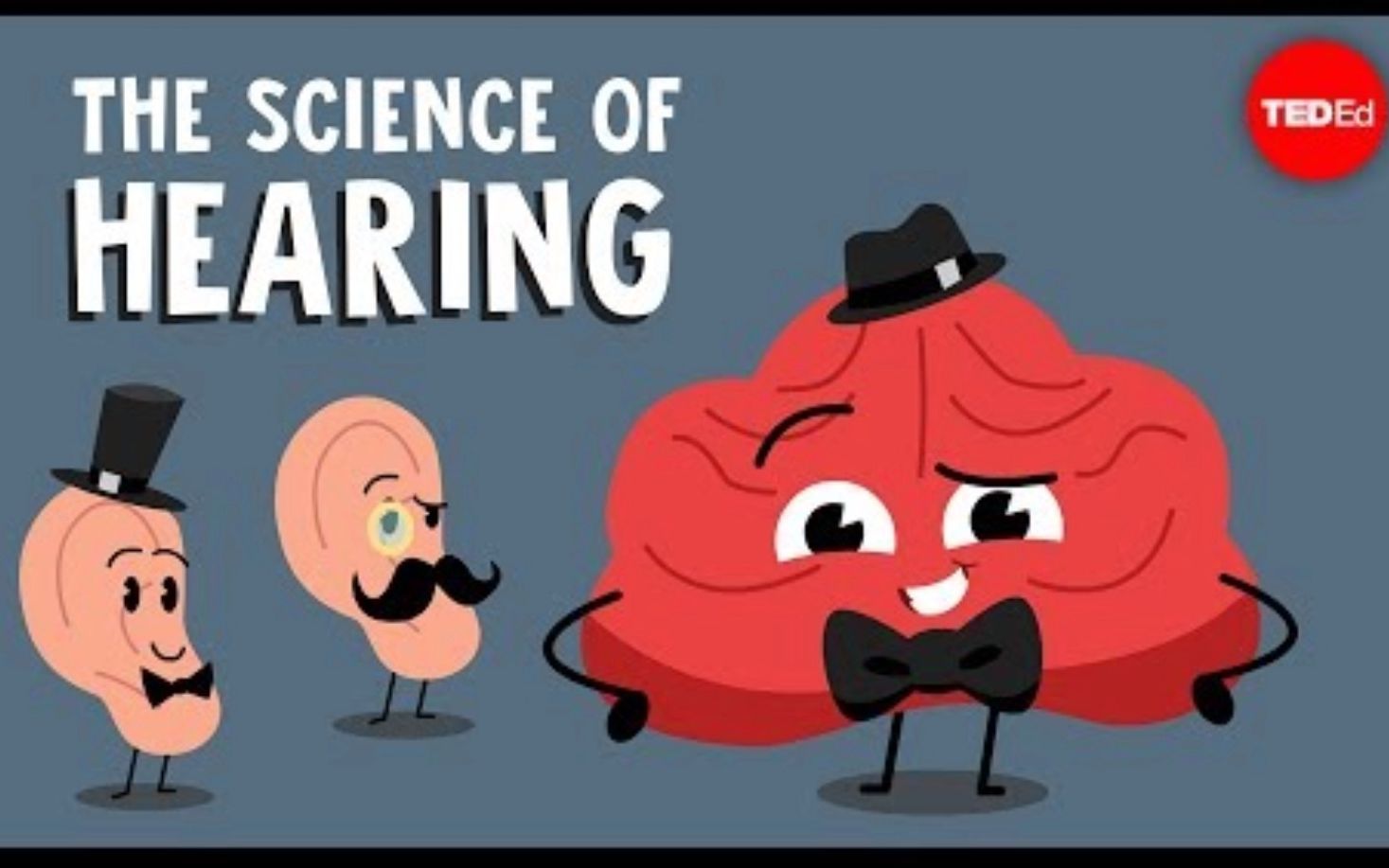 [图]【Ted-ED】关于听力的科学 The Science Of Hearing