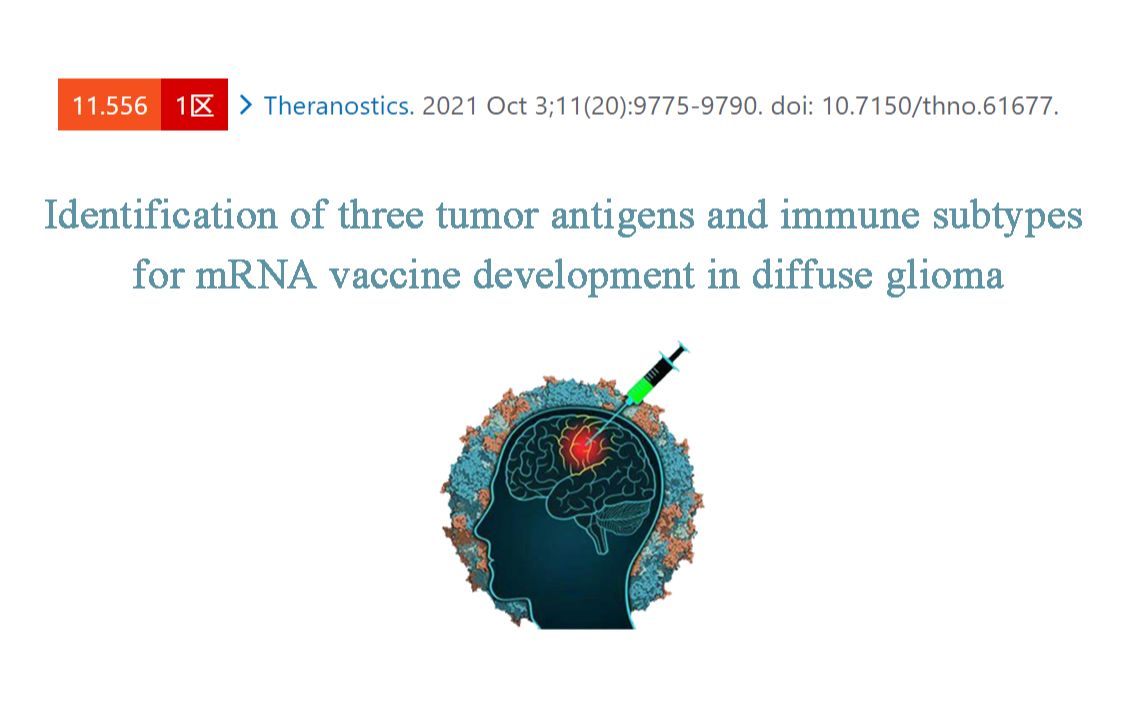 胶质瘤肿瘤抗原和免疫亚型的确定以及疫苗开发哔哩哔哩bilibili