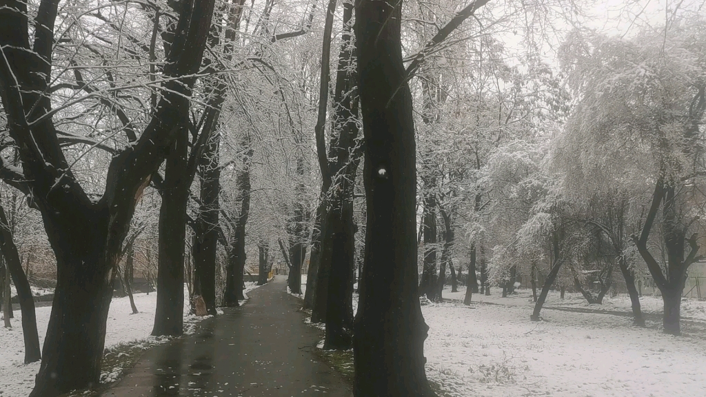 [图]波兰小镇雪景