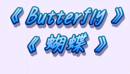 butterfly 蝴蝶哔哩哔哩bilibili