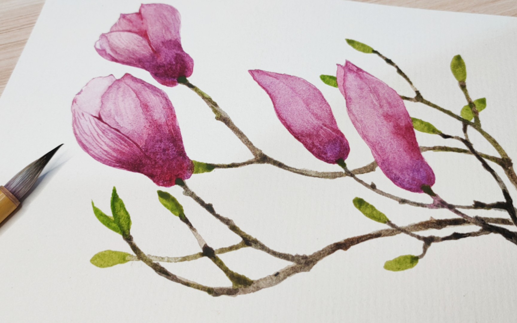 【绘画】【水彩】试试新颜料涂个玉兰花