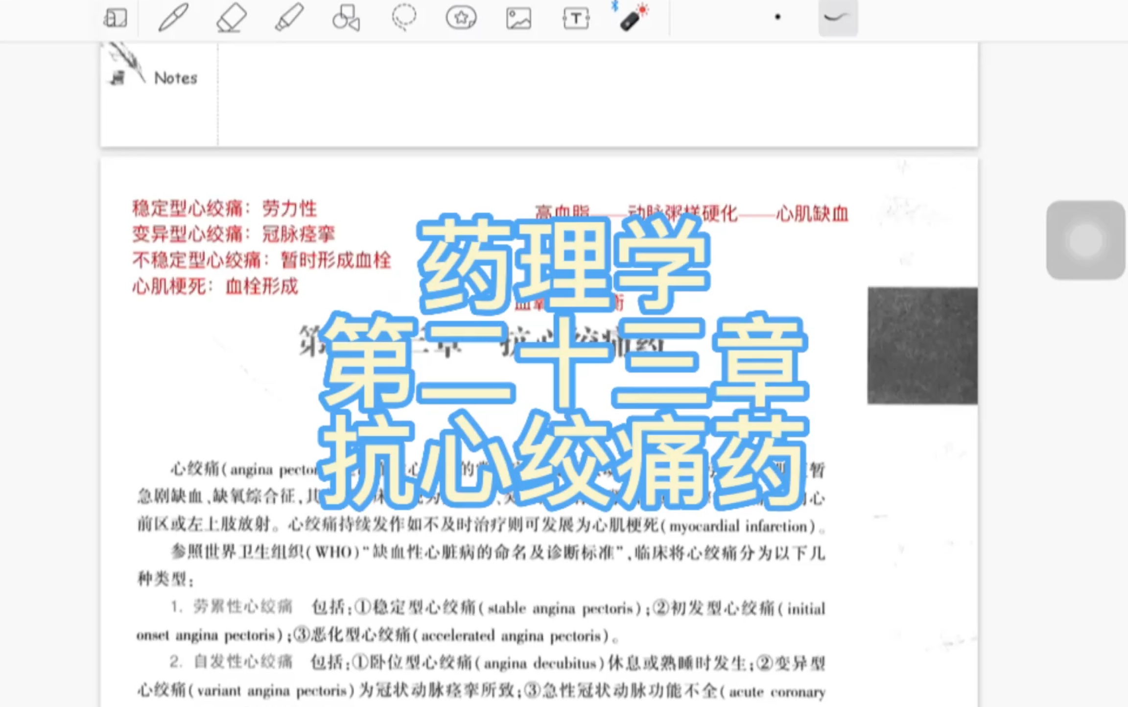 [图]药理学 第二十三章 抗心绞痛药