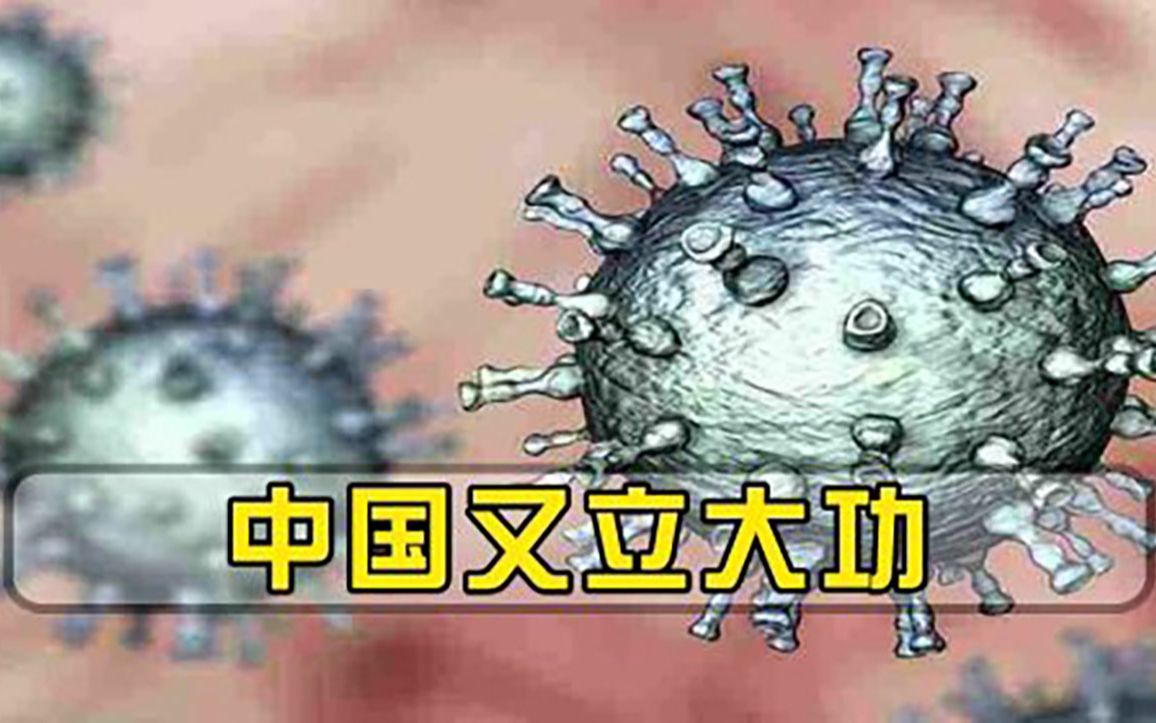 3个多月追凶,中国团队传来喜讯,科学家终于揭开德尔塔奥秘哔哩哔哩bilibili