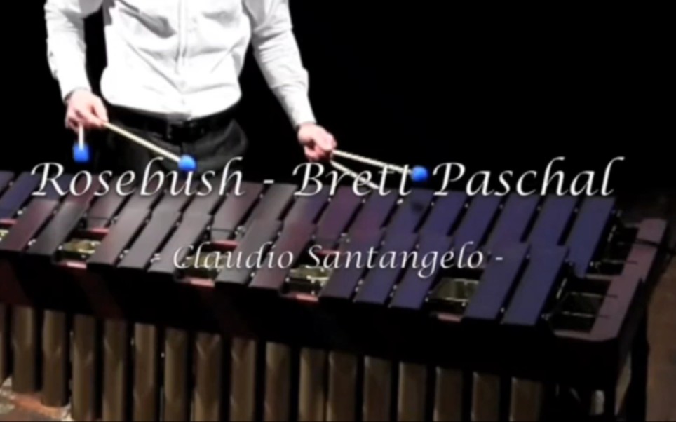 Claudio Santangelo plays Rosebush  Brett Paschal哔哩哔哩bilibili