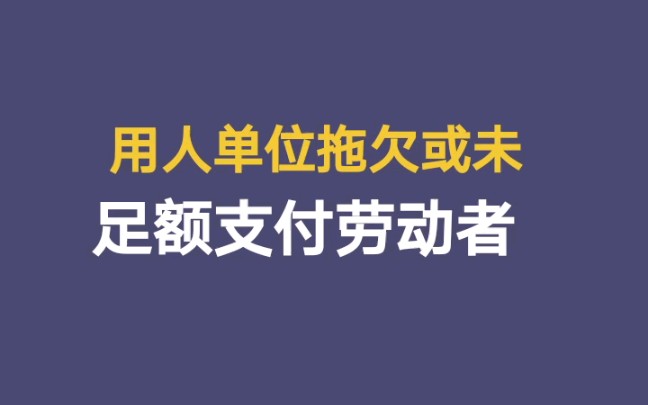 用人单位拖欠工资,劳动者可以向法院申请支付令哔哩哔哩bilibili