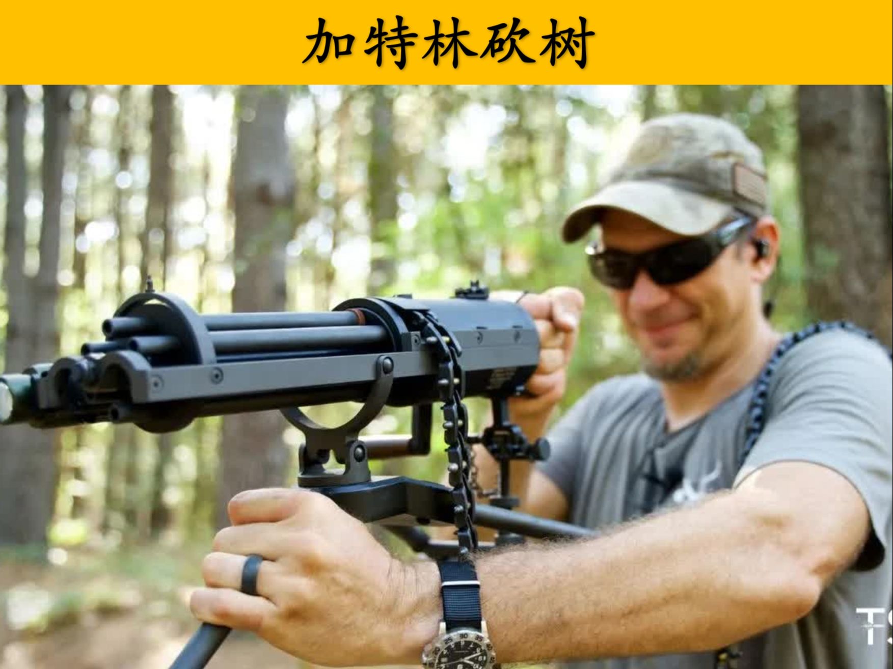 多少发加特林子弹,可以砍倒一棵树呢?