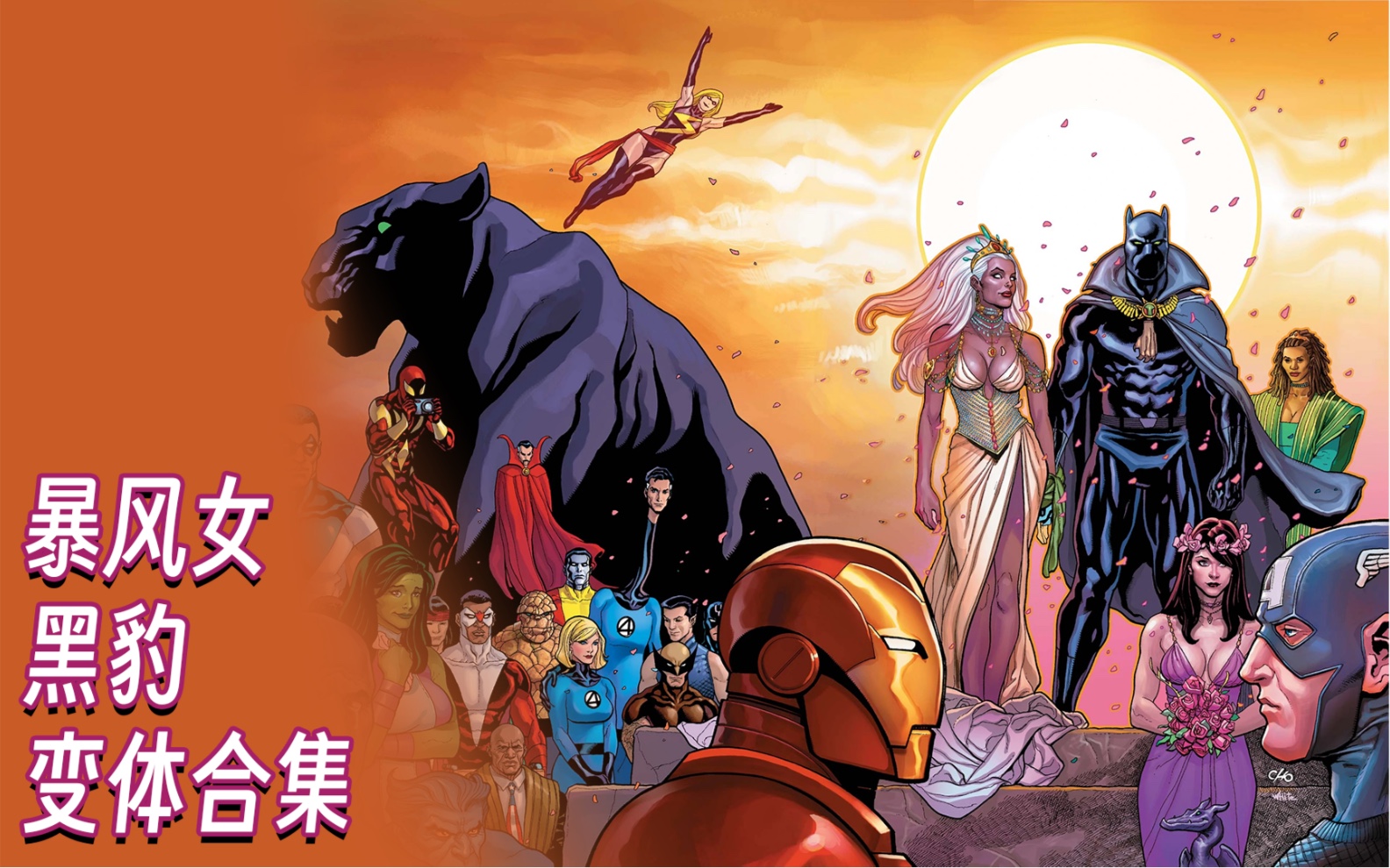 「变体情人节特辑」漫威 marvel snap 暴风女黑豹cp变体合集