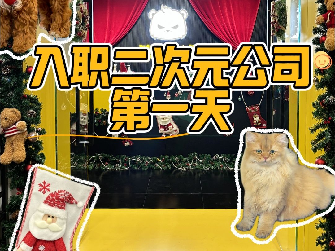 hr竟然是只猫?二次元公司入职第一天!哔哩哔哩bilibili