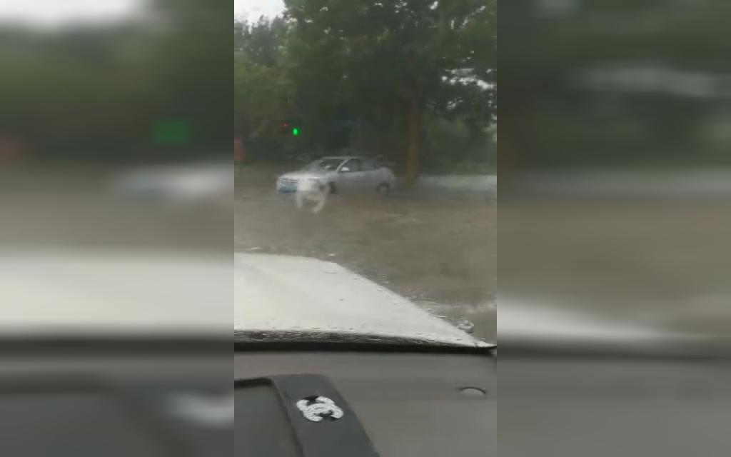 [图]庄河8月20号大暴雨，实况搞笑自拍