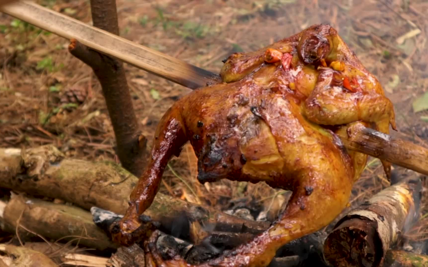 篝火烤鸡享受自然气息印尼单人露营afganfazrihandoko