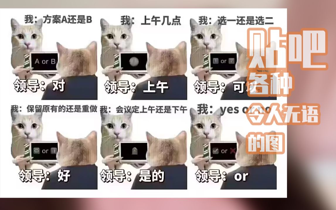 【第九百四十辑】贴吧各种令人无语的图哔哩哔哩bilibili